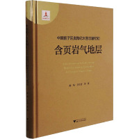 中国扬子区奥陶纪末至志留纪初含页岩气地层