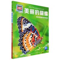 [N]美丽的蝴蝶(色彩斑斓的自然精灵珍藏版)(精)/德国少年儿童百科知识全书-9787516529010