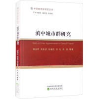 滇中城市群研究