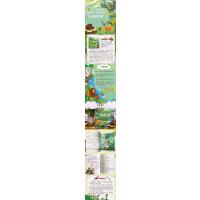 小蜜蜂童书馆·陪伴孩子成长的经典名著·森林报