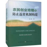 农民创业培植与防止返贫机制构建
