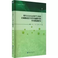 野生大豆GsERF71基因在碱胁迫信号传导通路中的作用机制研究