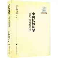中国比较法学(文化网络与司法2020年卷)