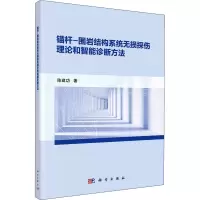 锚杆—围岩结构系统无损探伤理论和智能诊断方法