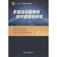 多源运动图像的跨尺度融合研究
