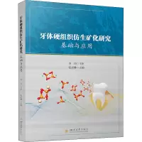 牙体硬组织仿生矿化研究 : 基础与应用