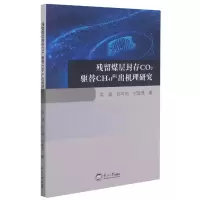 残留煤层封存CO2驱替CH4产出机理研究