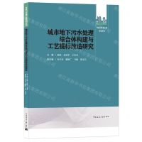 [N]城市地下污水处理综合体构建与工艺提标改造研究/市政与环境工程系列丛书-9787112264650
