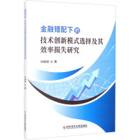 金融错配下的技术创新模式选择及其效率损失研究