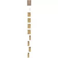 人美书谱 草 明 祝允明 草书岳阳楼记