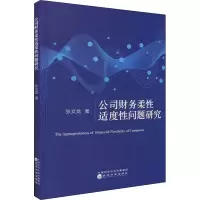 公司财务柔性适度性问题研究