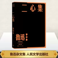 二心集