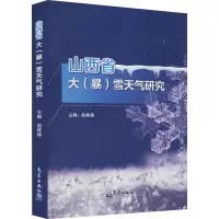 山西省大(暴)雪天气研究