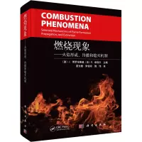 燃烧现象——火焰形成、传播和熄灭机制