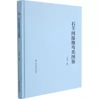 石羊河湿地鸟类图鉴