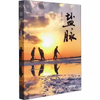 盐脉