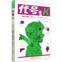 秘密代号2·代号K
