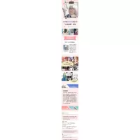 掟上今日子的内封面