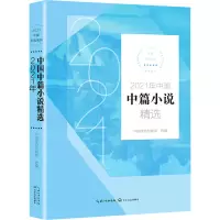 2021年中国中篇小说精选(2021中国年选系列)