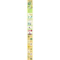 森林里的野花(DFWW)