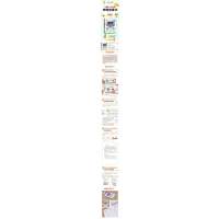 《数学原来这么有趣》(六年级)