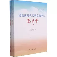 建设新时代文明实践中心怎么干(上下)