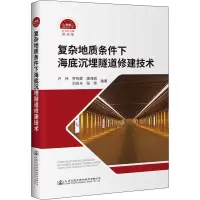 复杂地质条件下海底沉埋隧道修建技术