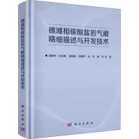 礁滩相碳酸盐岩气藏精细描述与开发技术