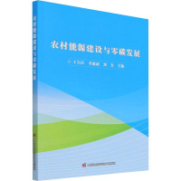农村能源建设与零碳发展