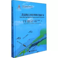 二连盆地古河谷型砂岩铀矿床