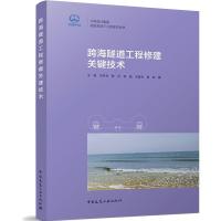 跨海隧道工程修建关键技术/中铁设计集团隧道及地下工程技术丛书