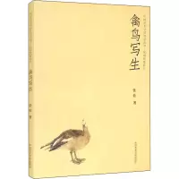 禽鸟写生
