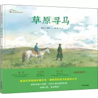 草原寻马/我的山野中国