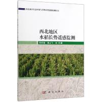 西北地区水稻长势遥感监测