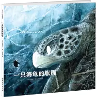 [正版新书]FX 一只海龟的旅程 旅行精装硬壳日本动物画家河崎俊一作品儿童海洋生态科普绘本图画故事书籍和孩子一起读懂生