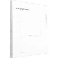 中国城市网络研究:新视野和新方法