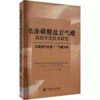 低渗碳酸盐岩气藏高效开发技术研究