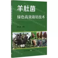 [N]羊肚菌绿色高效栽培技术-9787109272354