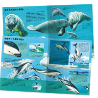 动物王国大探秘(辑)(NEW)(全4册)