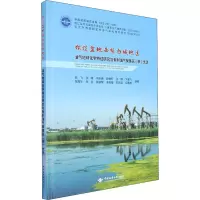 松辽盆地西缘白城地区油气地球化学特征研究与有利油气聚集区(带)优选