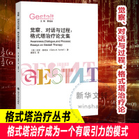 觉察、对话与过程:格式塔治疗论文集