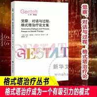 觉察、对话与过程:格式塔治疗论文集