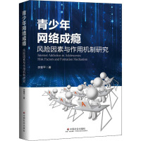 青少年网络成瘾 风险因素与作用机制研究