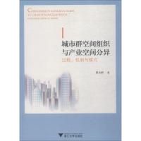 城市群空间组织与产业空间分异 过程、机制与模式