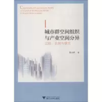 城市群空间组织与产业空间分异 过程、机制与模式