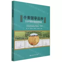 [N]小麦国审品种SSR指纹数据图谱-9787511655530