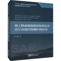 海上降雨微波散射机理及其在SAR 海洋探测中的应用