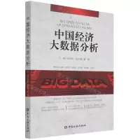 [N]中国经济大数据分析-9787522013862