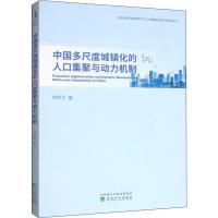 中国多尺度城镇化的人口集聚与动力机制