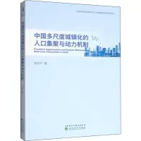 中国多尺度城镇化的人口集聚与动力机制